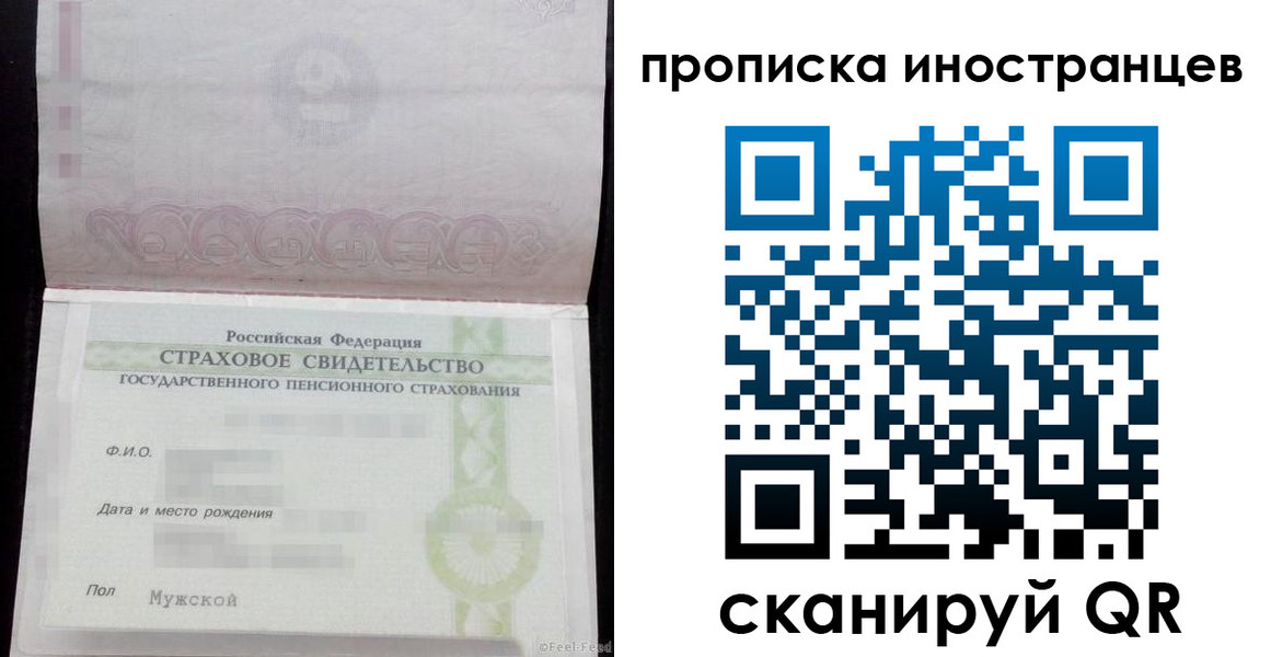 прописка гарантия в Ершове